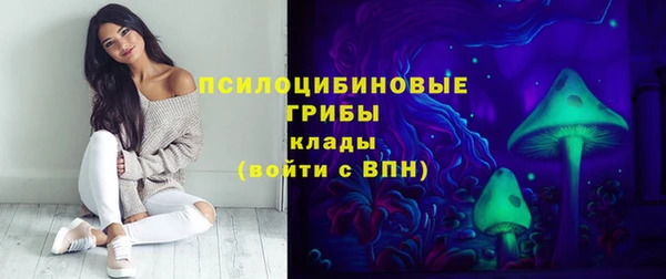 индика Алексин