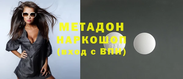 индика Алексин