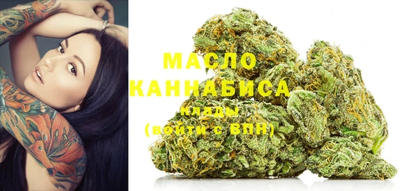 ECSTASY Алзамай