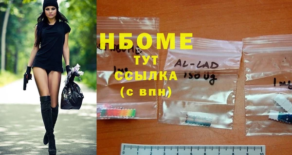 ECSTASY Алзамай