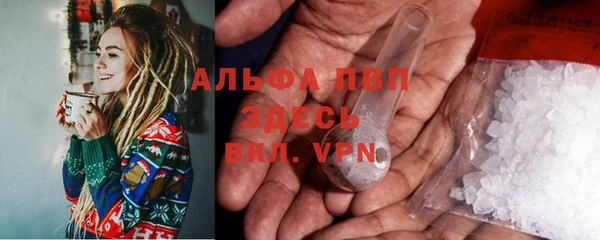 ECSTASY Алзамай