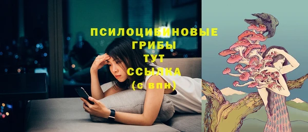 ECSTASY Алзамай