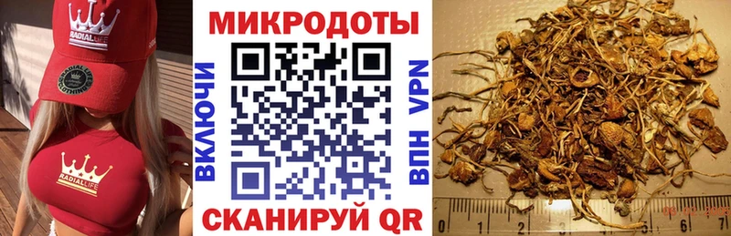 Псилоцибиновые грибы мицелий цена Тавда